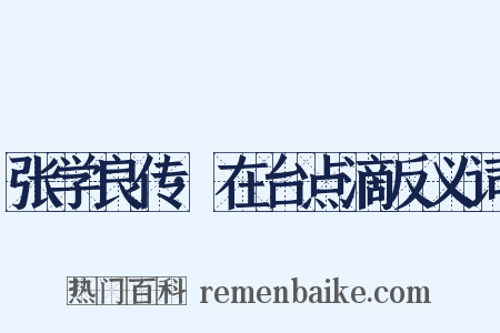 张学良传·在台点滴反义词是什么意思的图片